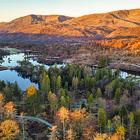 Buy canvas prints of Tarn Hows: Sunrise Light by Tim Hill
