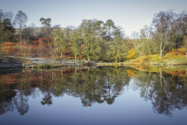 Tarn Hows Reflections Picture Board by Tim Hill