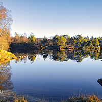 Buy canvas prints of Tarn Hows: November Sunshine by Tim Hill