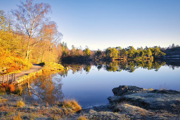 Tarn Hows: November Sunshine Picture Board by Tim Hill