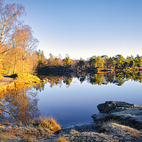 Buy canvas prints of Tarn Hows: November Sunshine by Tim Hill