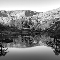 Buy canvas prints of Tarn Hows Reflections Black and White by Tim Hill