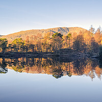 Buy canvas prints of Tarn Hows Reflections Panoramic by Tim Hill