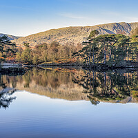 Buy canvas prints of Tarn Hows Reflections Panoramic by Tim Hill