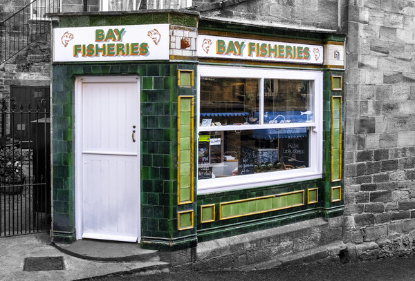 Bay fisheries, Robin Hoods Bay, Yorkshire Picture Board by Tim Hill