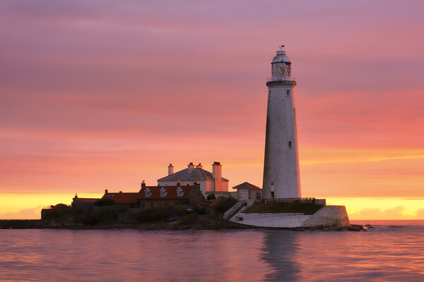 St Mary's Lighthouse Whitley Bay Picture Board by Tim Hill