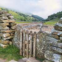Buy canvas prints of Muker to Keld Walk: Dry Stone Walling by Tim Hill