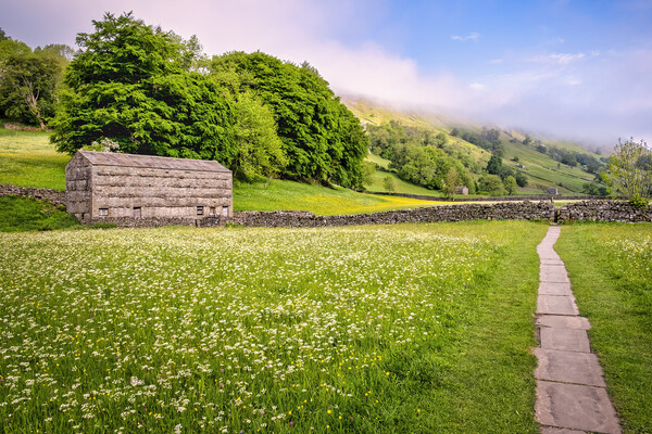 Muker Wildflower Meadows: Yorkshire Dales Picture Board by Tim Hill