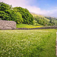 Buy canvas prints of Muker Wildflower Meadows: Yorkshire Dales by Tim Hill