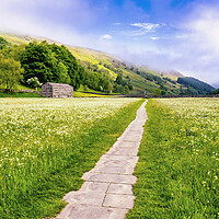 Buy canvas prints of Muker Wildflower Meadows Yorkshire Dales by Tim Hill