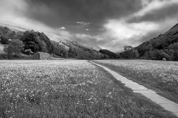 Yorkshire Dales Black and White Picture Board by Tim Hill