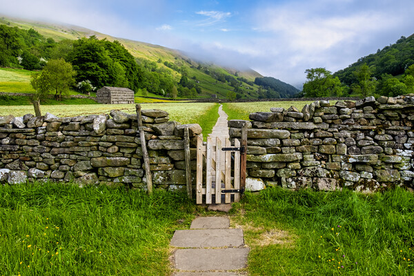 Muker Wildflower Meadows Swaledale Picture Board by Tim Hill