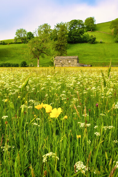 Muker Wildflower Meadow Yorkshire Dales Picture Board by Tim Hill