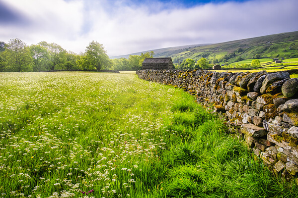 Muker Wildflower Meadows Yorkshire Dales Picture Board by Tim Hill