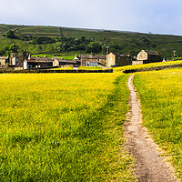 Buy canvas prints of Muker Village from Buttercup Meadows by Tim Hill
