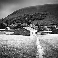 Buy canvas prints of Swaledale Black and White ~ Yorkshire Dales by Tim Hill