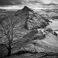 Buy canvas prints of Chrome Hill Lone Tree Black and White by Tim Hill