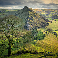 Buy canvas prints of Chrome Hill Lone Tree ~ Derbyshire Peak District by Tim Hill