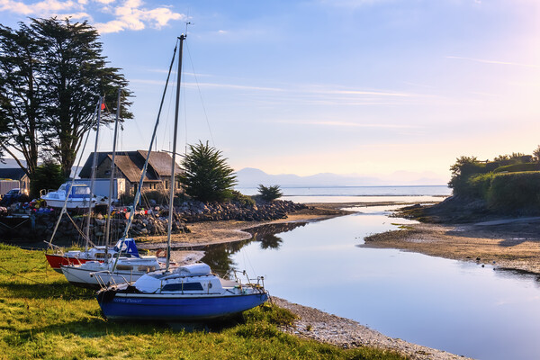 Abersoch Boatyard and Estuary  Picture Board by Tim Hill