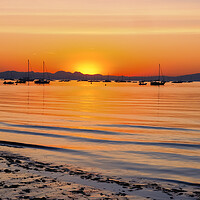 Buy canvas prints of August Sunrise Abersoch Bay by Tim Hill