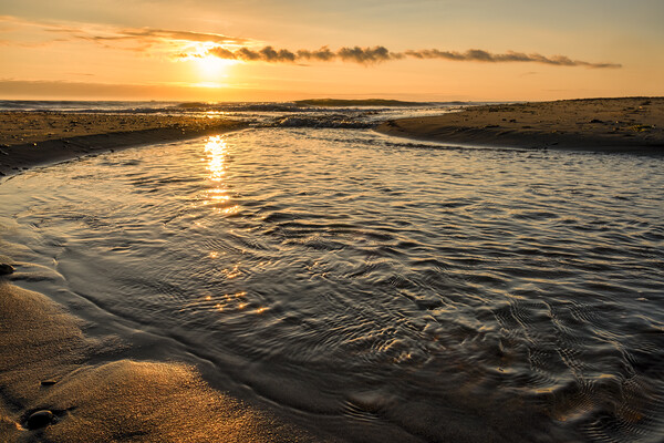 Sandsend Beck at Sunrise Picture Board by Tim Hill