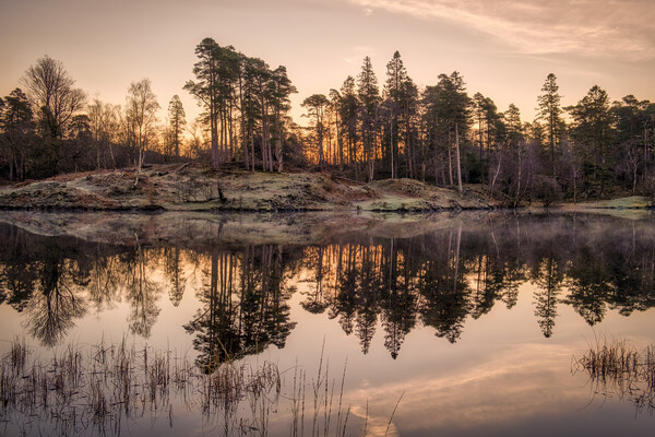 Tarn Hows Sunrise ~ Lake District Picture Board by Tim Hill