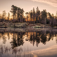 Buy canvas prints of Tarn Hows Sunrise ~ Lake District by Tim Hill