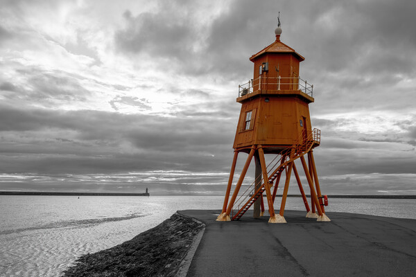Herd Groyne Lighthouse Picture Board by Tim Hill