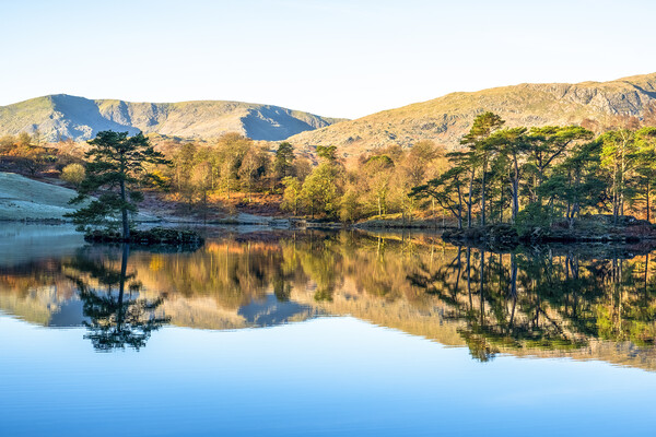 Tarn Hows Reflections: English Lake District Picture Board by Tim Hill