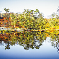 Buy canvas prints of Tarn Hows Autumn Reflections by Tim Hill