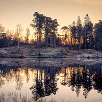 Buy canvas prints of Tarn Hows Sunrise ~ Lake District by Tim Hill