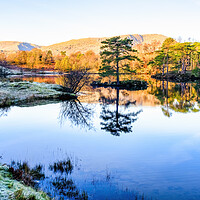 Buy canvas prints of Tarn Hows Landscape: Lake District National Park by Tim Hill