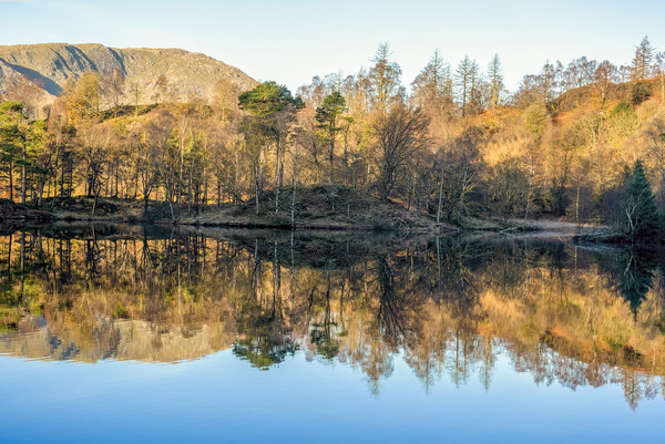 Tarn Hows Lake District National Park Picture Board by Tim Hill