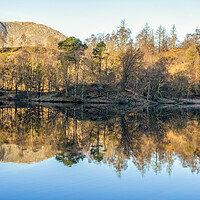 Buy canvas prints of Tarn Hows Lake District National Park by Tim Hill
