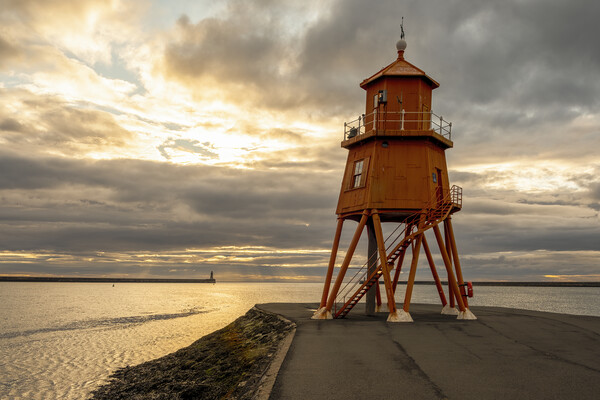 Herd Groyne Lighthouse Picture Board by Tim Hill