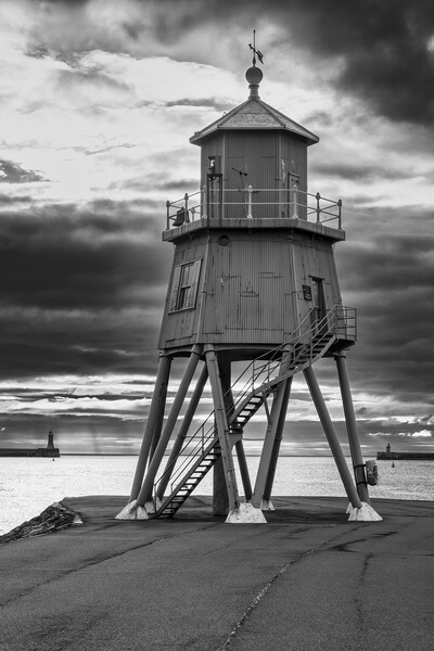 Herd Groyne Black and White Picture Board by Tim Hill