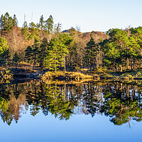 Buy canvas prints of Tarn Hows Reflections: English Lake District by Tim Hill