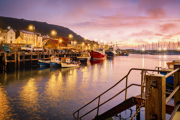 Scarborough Harbour at Dawn Picture Board by Tim Hill