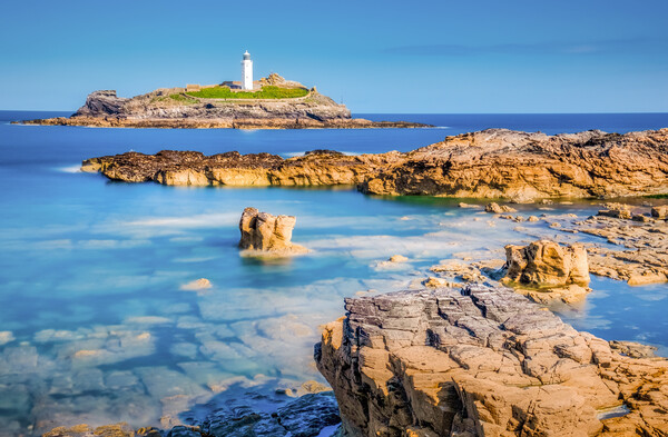 Godrevy Lighthouse in St Ives Bay Picture Board by Tim Hill
