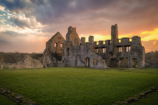 Egglestone Abbey at Barnard Castle Picture Board by Tim Hill