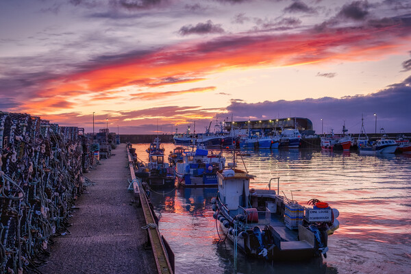 Burning Sky at Bridlington Harbour Picture Board by Tim Hill