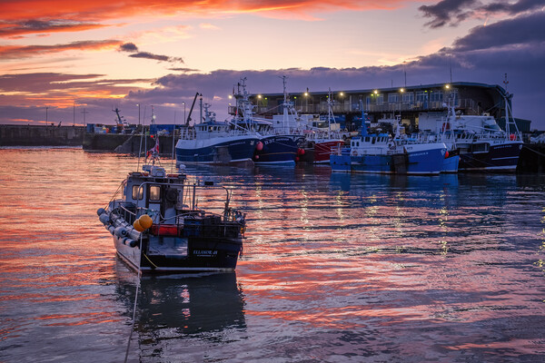 Bridlington Harbour: February Sunrise Picture Board by Tim Hill