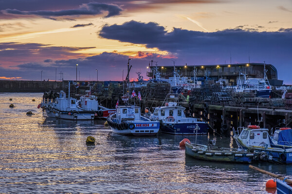 Bridlington Fishing Boats, East Yorkshire Coast Picture Board by Tim Hill