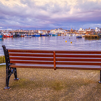 Buy canvas prints of A Bench with a View: Bridlington Harbour by Tim Hill