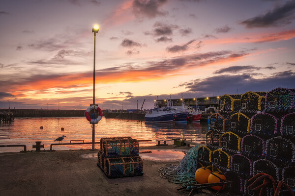 Bridlington Harbour Sunrise Picture Board by Tim Hill