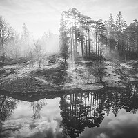 Buy canvas prints of Misty Sunrise Tarn Hows by Tim Hill