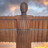 Buy canvas prints of Angel Of The North by Tim Hill
