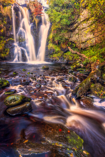 Posforth Gill Waterfall - Valley of Desolation Picture Board by Tim Hill
