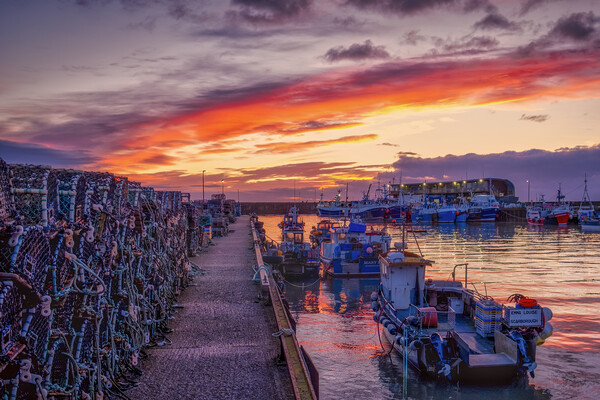 Bridlington Harbour Sunrise East Yorkshire Picture Board by Tim Hill