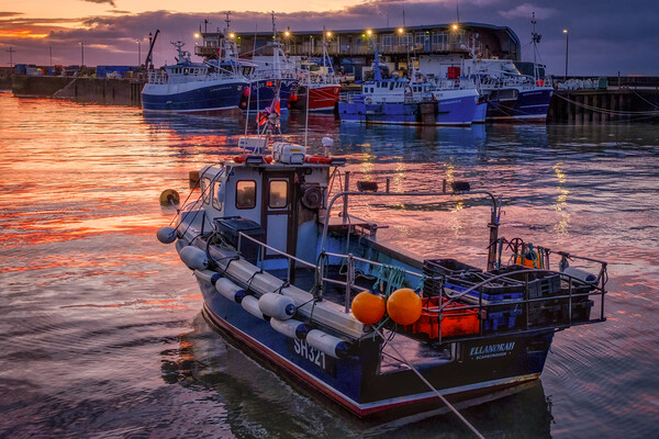Into the sunrise Bridlington Harbour Picture Board by Tim Hill